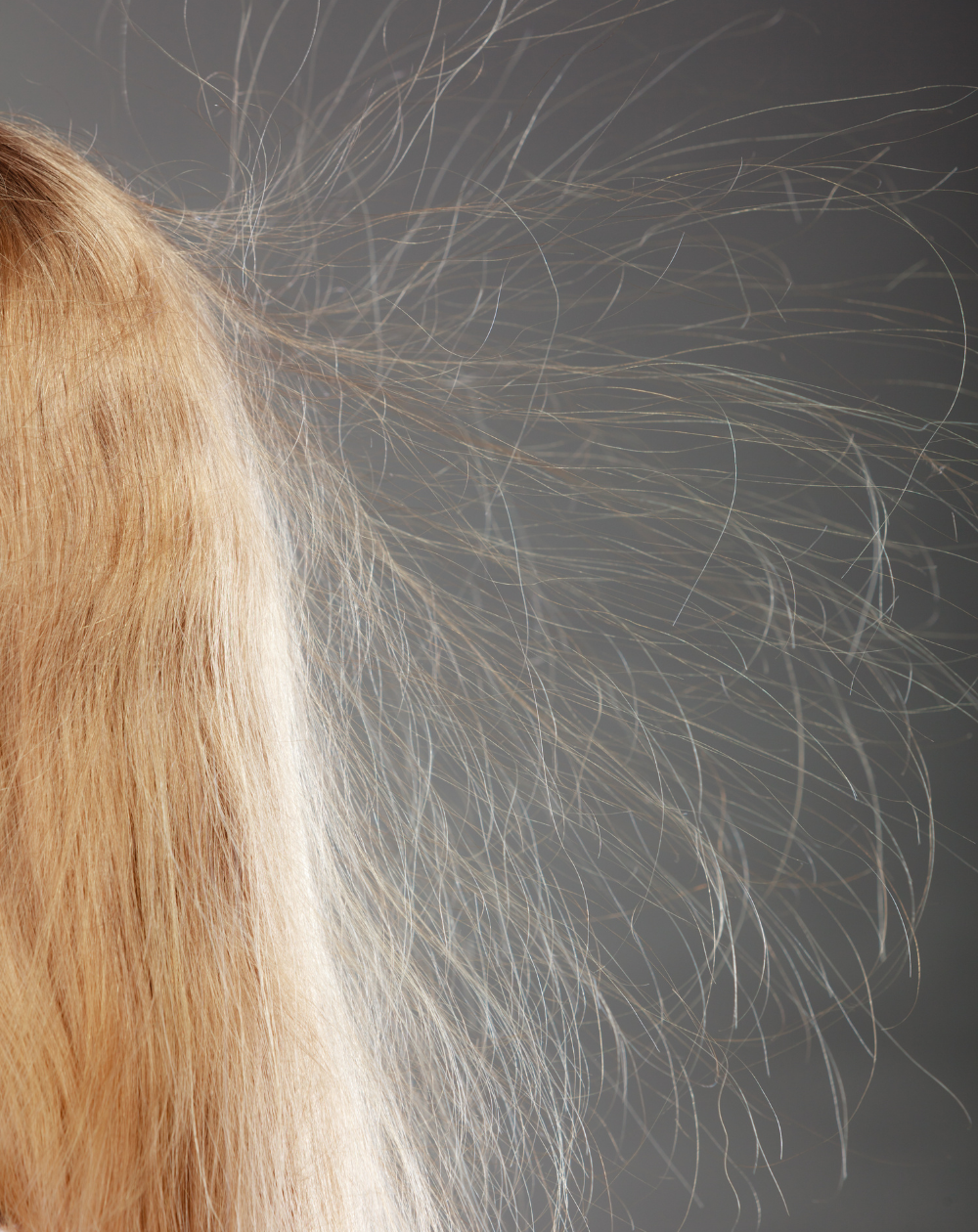 static hair in winter