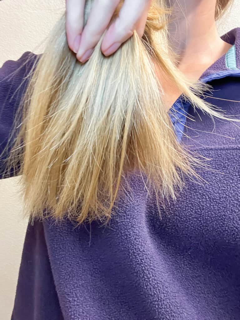 healthy hair assessment